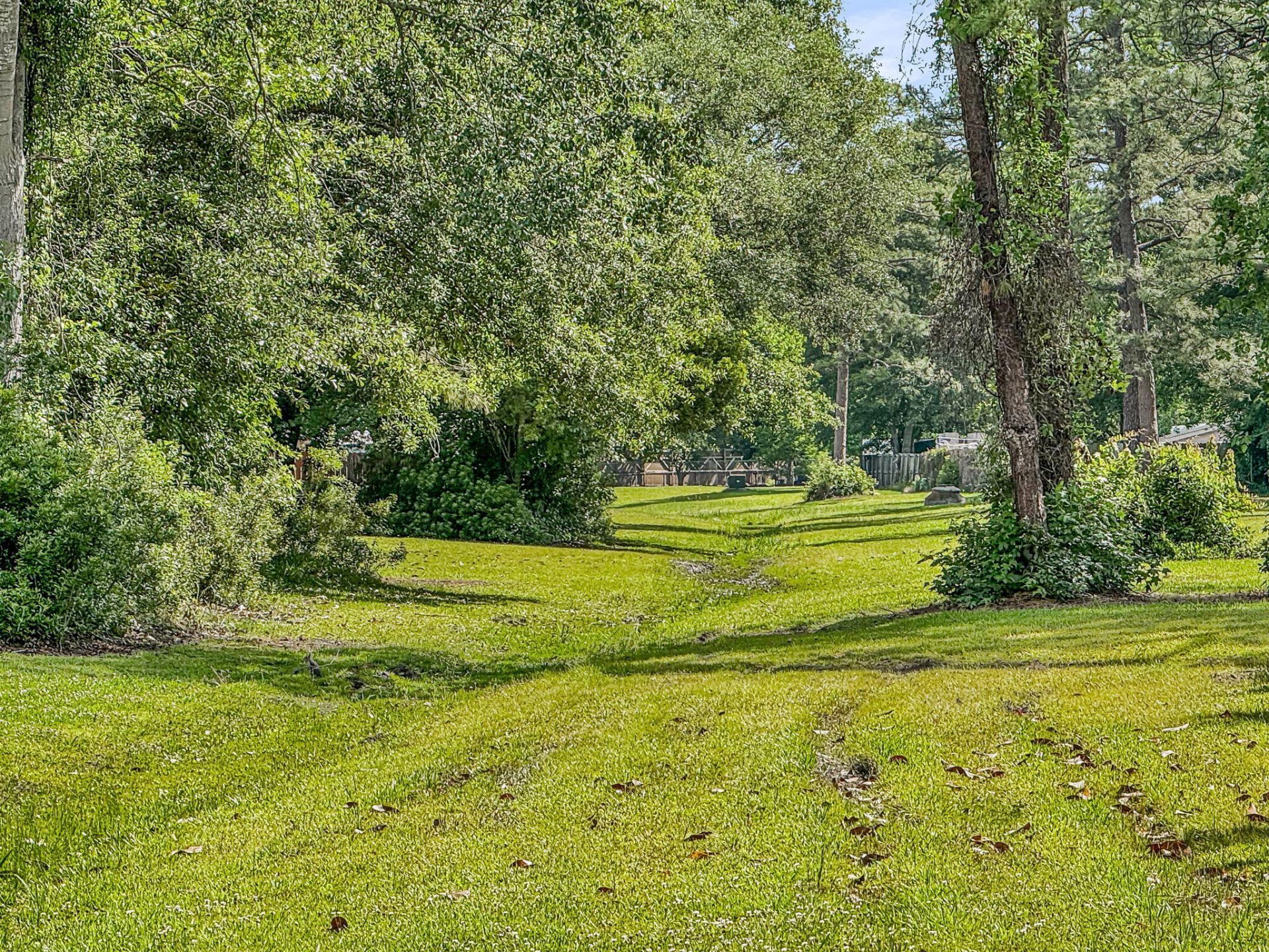 209 Longleaf Road Photo 43