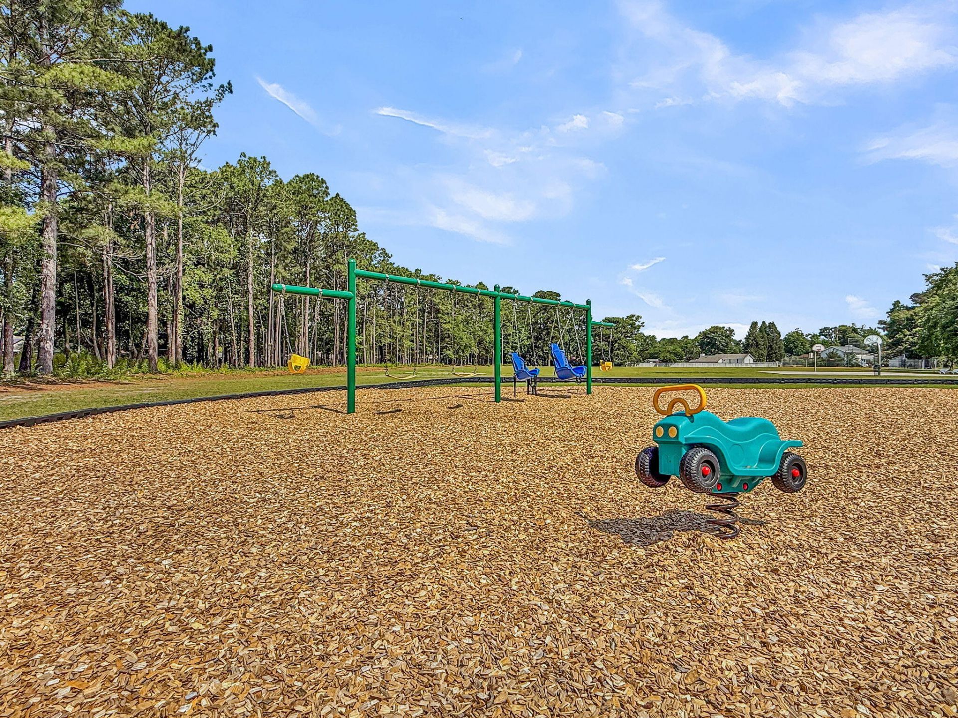 209 Longleaf Road Photo 46