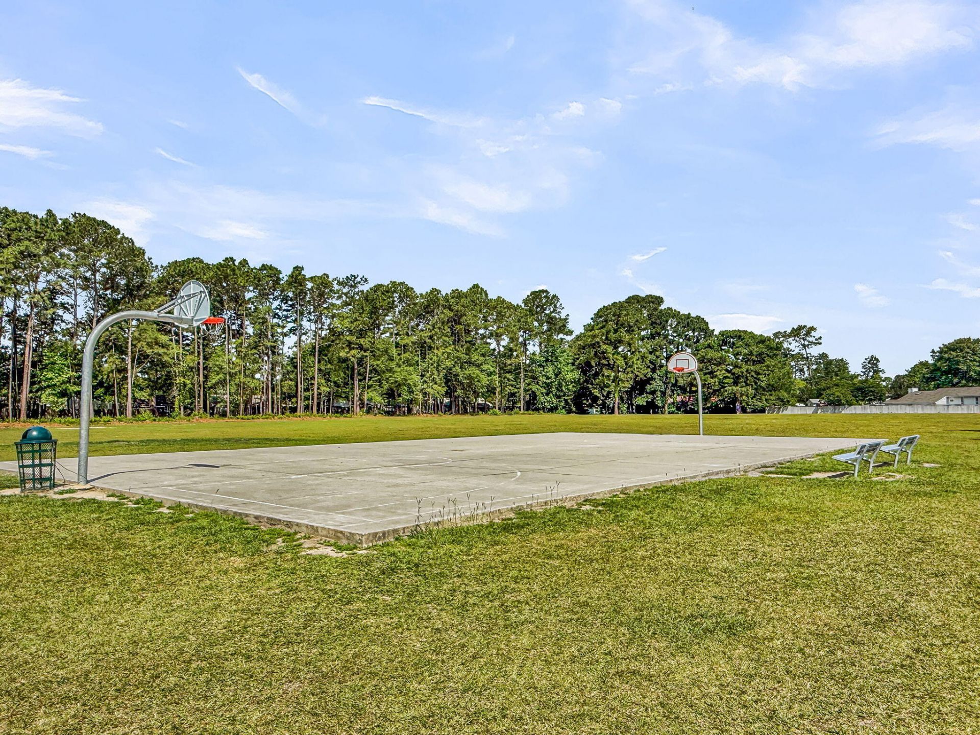 209 Longleaf Road Photo 49