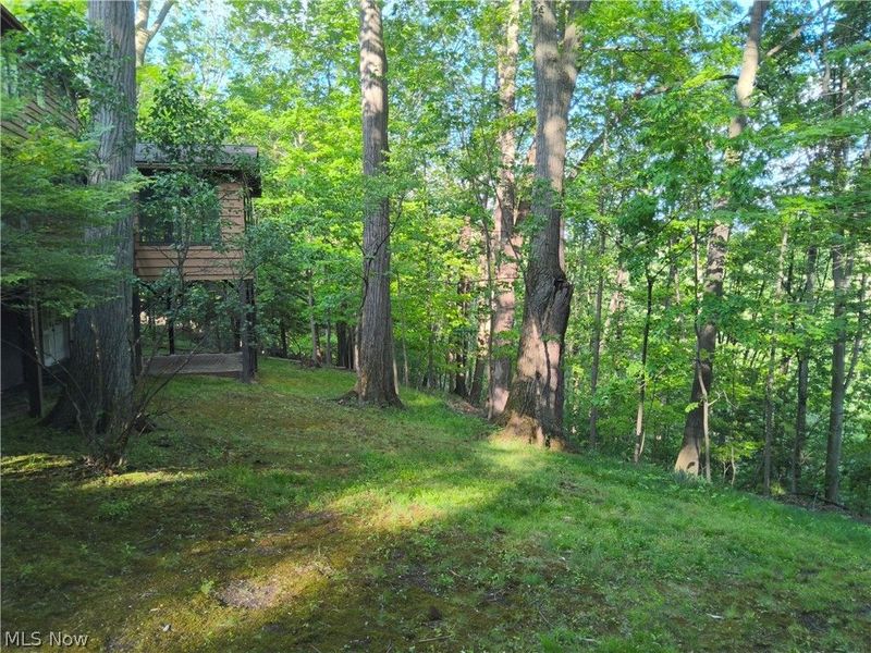 35970 Timber Ridge Lane, Willoughby, OH 44094 Photo 5