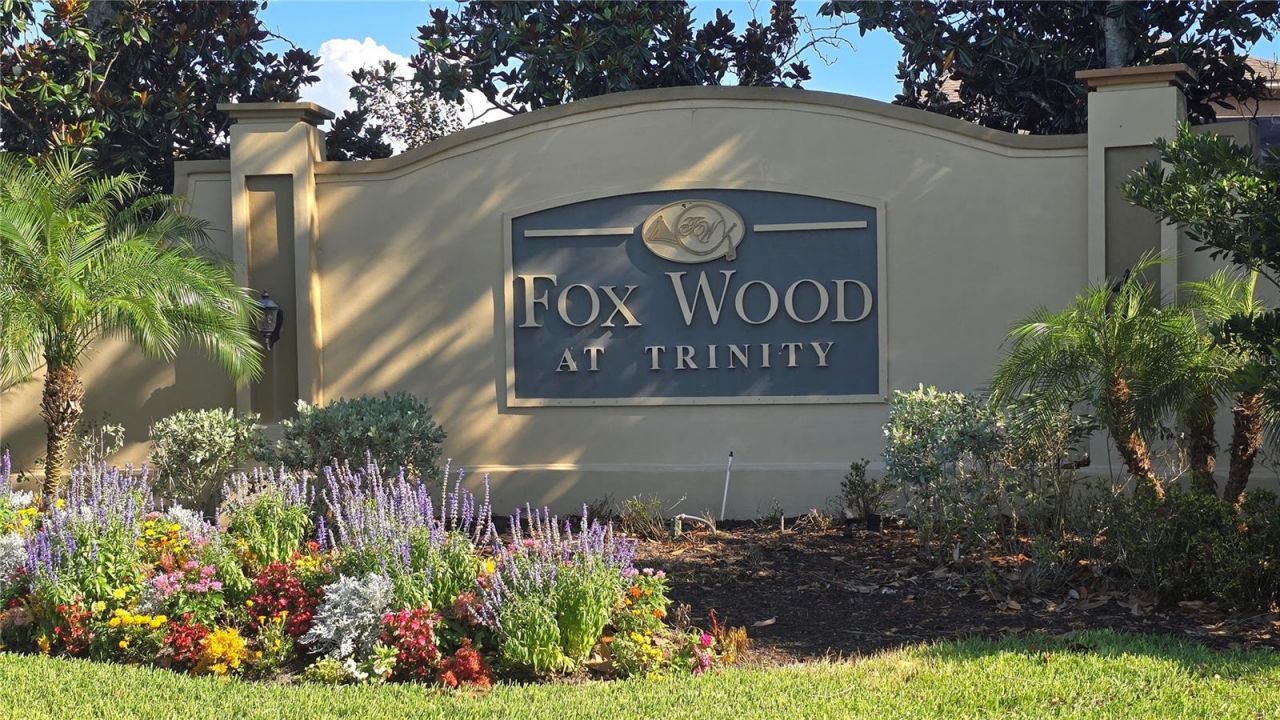 2009 Meadow Rue Court , Trinity, FL 34655 Photo