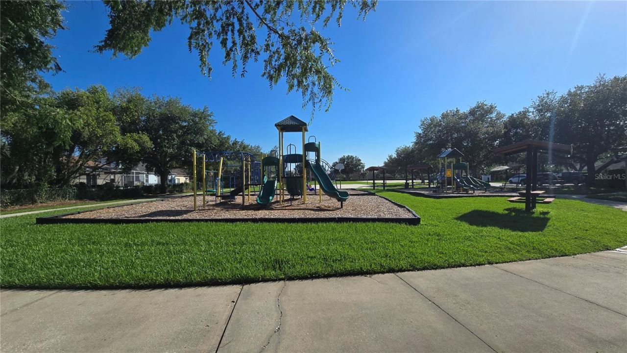 2009 Meadow Rue Court , Trinity, FL 34655 Photo