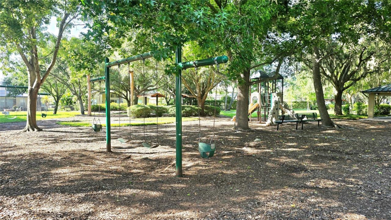 2009 Meadow Rue Court, Trinity, FL 34655 Photo