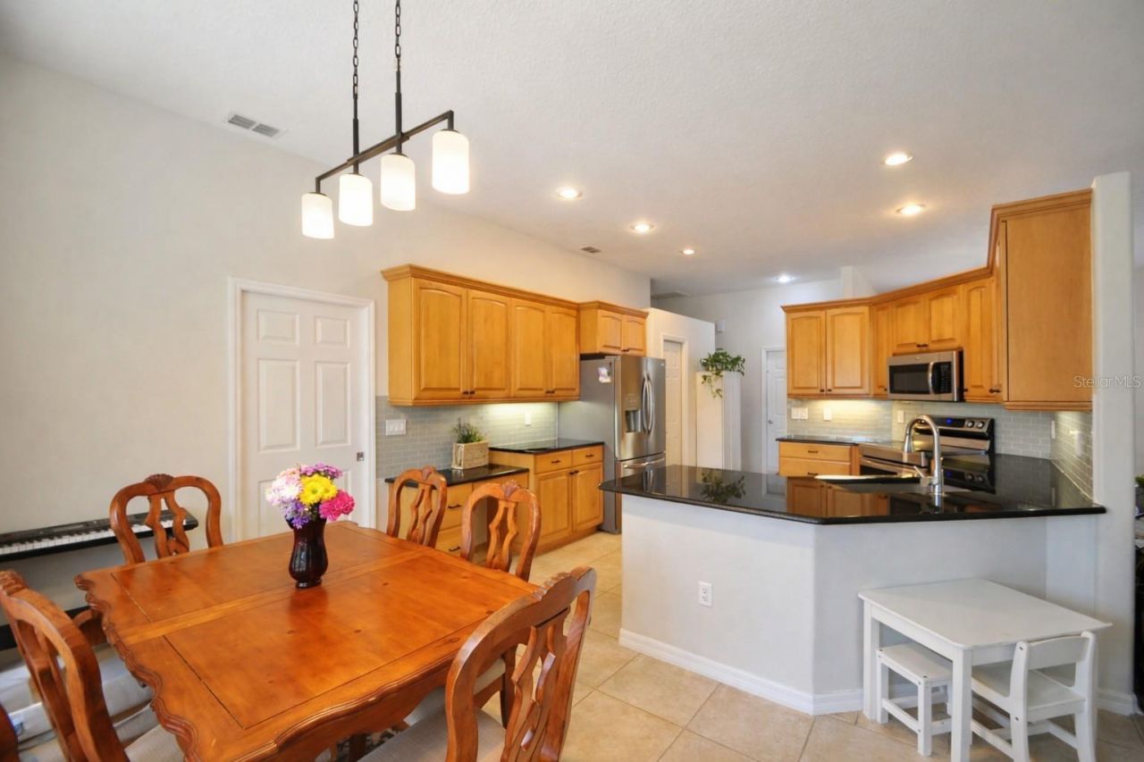 2009 Meadow Rue Court, Trinity, FL 34655 Photo