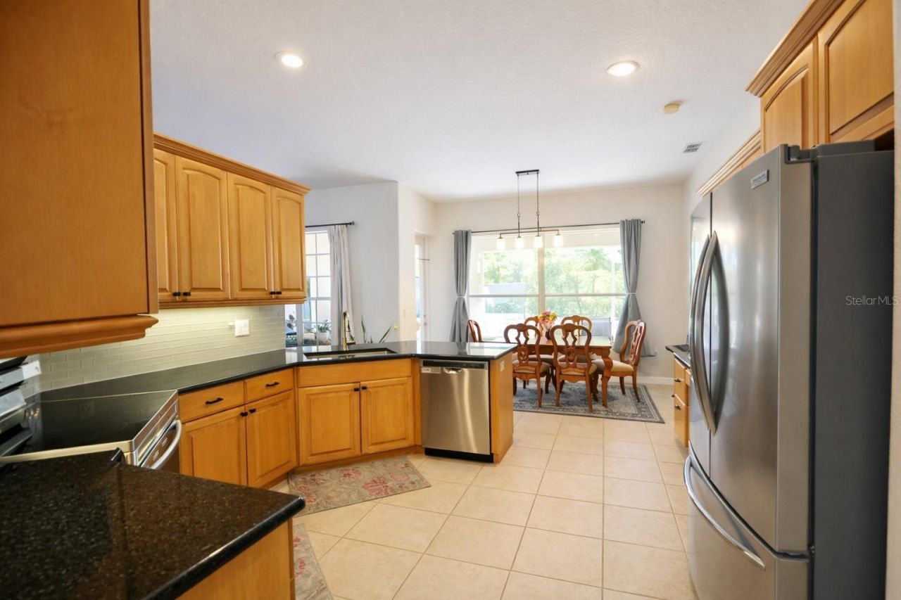 2009 Meadow Rue Court, Trinity, FL 34655 Photo
