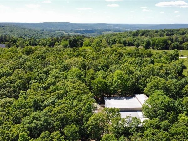 17659 S Skylight Mountain Road, Canehill, AR 72717