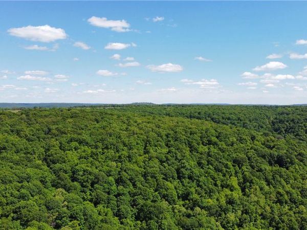 17659 S Skylight Mountain Road, Canehill, AR 72717