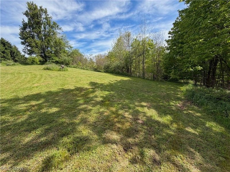 44073 Bell Road, Lisbon, OH 44432 Photo 14