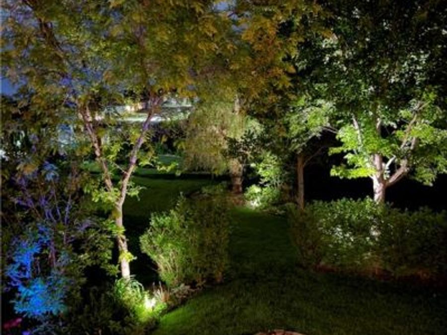 Property Image 84