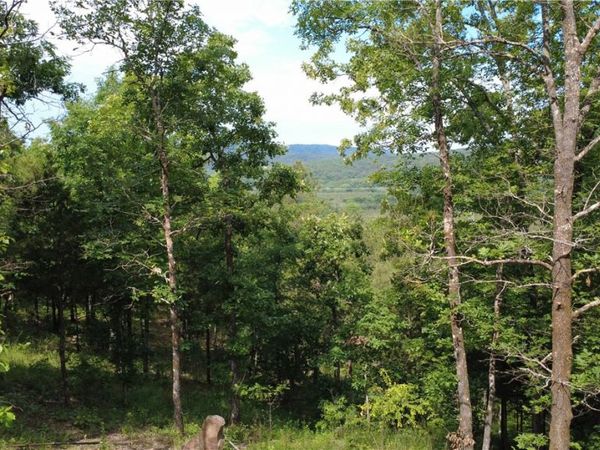 107 Jones Drive , Dover, AR 72837