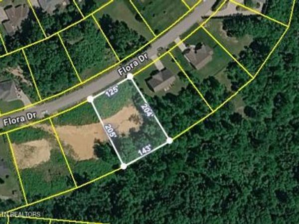 390 Flora Drive, Lenoir City, TN 37771