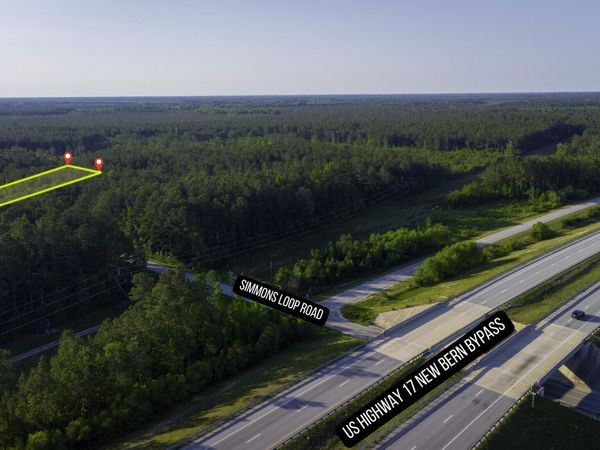 0 Simmons Loop Road, Trenton, NC 28585