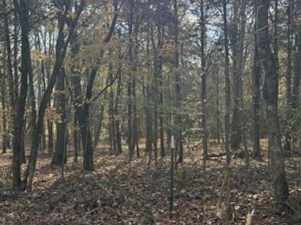 Lot 1031 Meadow Court, Baneberry, TN 37890