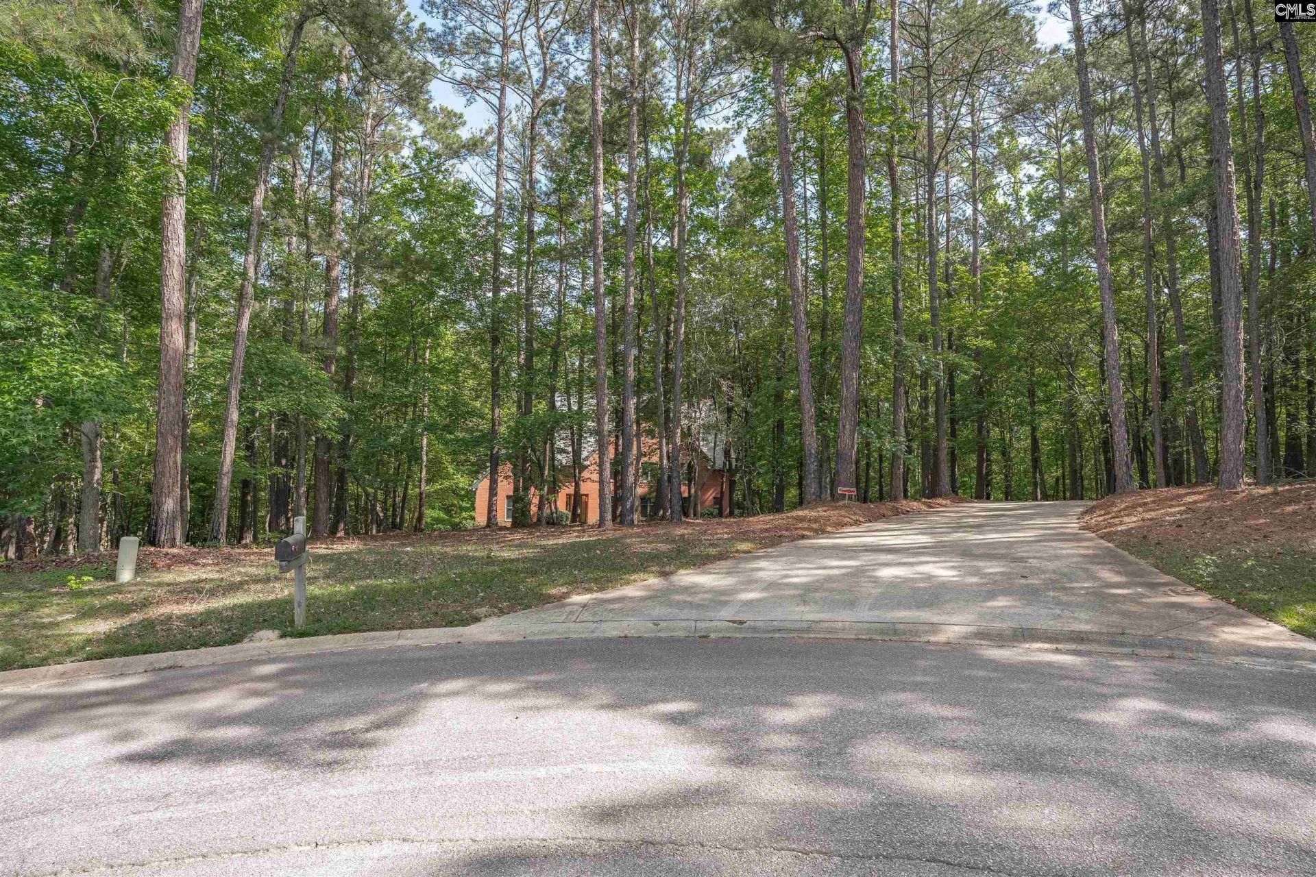 217 Ashley Oaks Drive  Photo 38