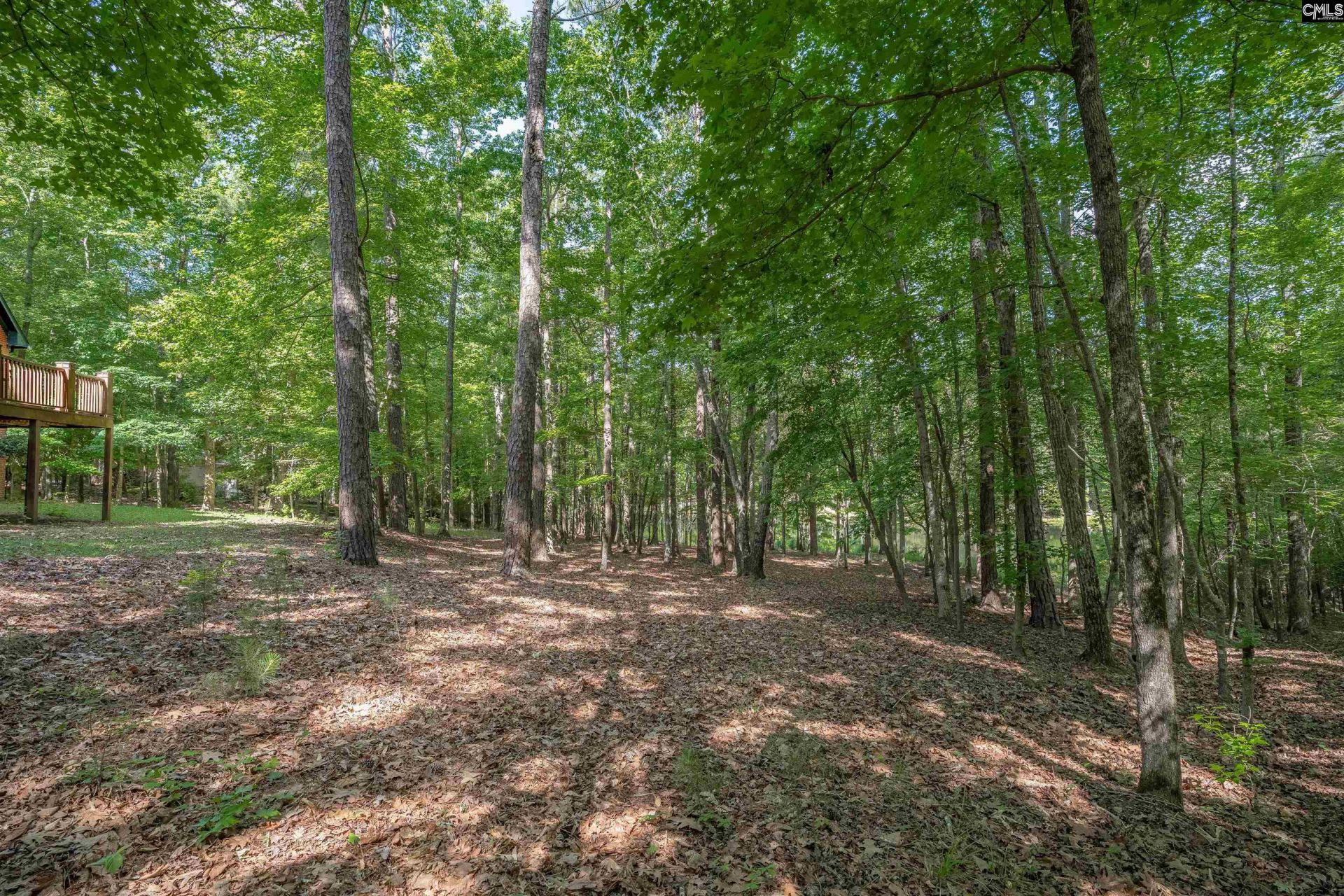 217 Ashley Oaks Drive  Photo 44