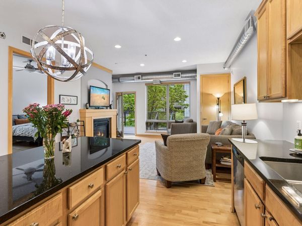 240 Spring Street, Unit 203, Saint Paul, MN 55102