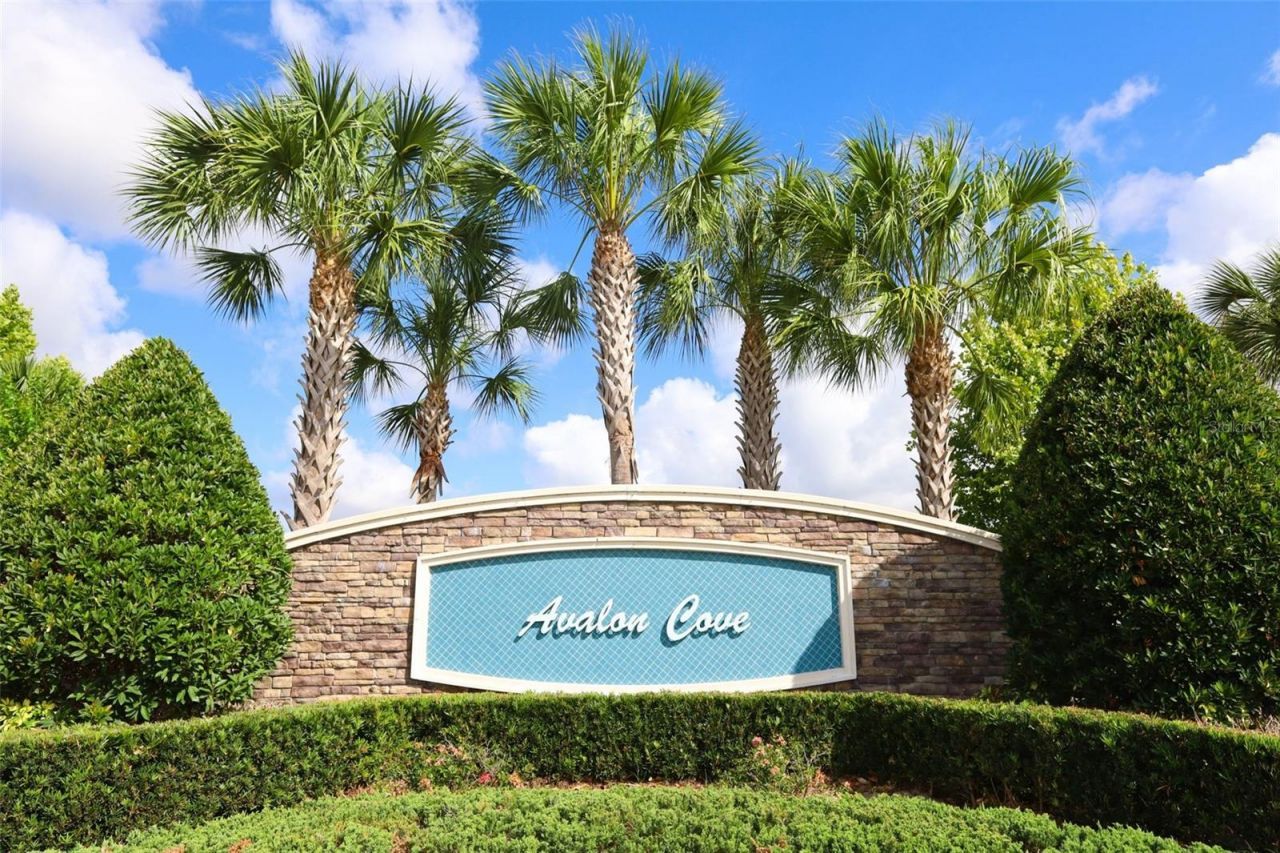9103 Morgana Court, Winter Garden, FL 34787 Photo