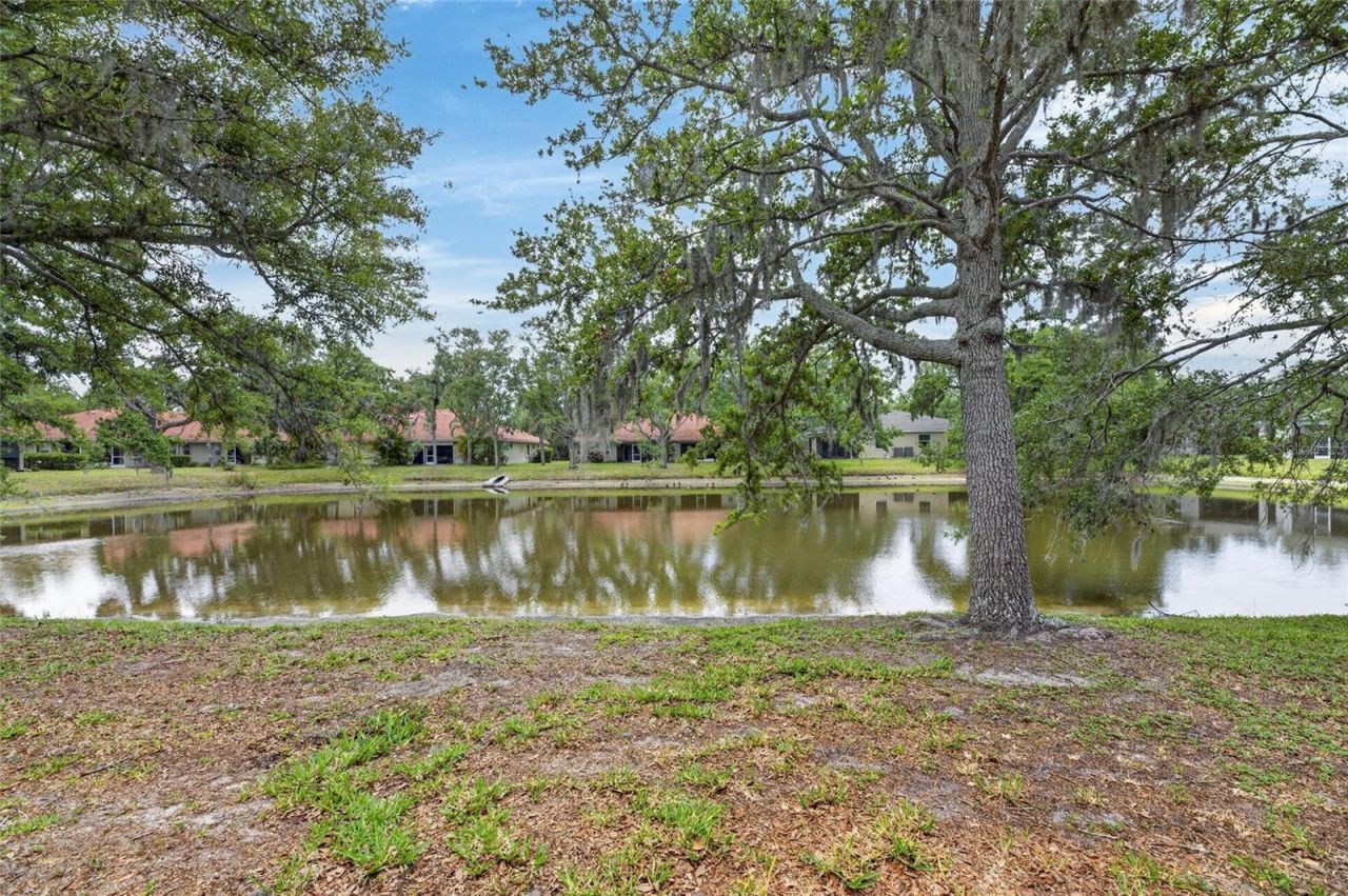 216 51st Street Circle E, Palmetto, FL 34221 Photo