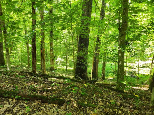 0 Indian Creek RD , Dover, TN 37058