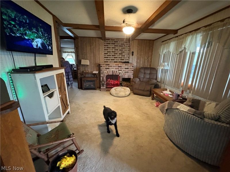 172 Andover Road, Woodsfield, OH 43793 Photo 3