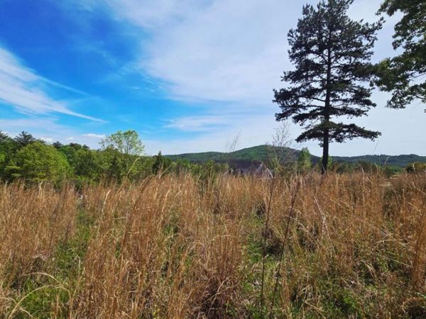 LOT 48 Water Oak Lane, Blairsville, GA 30512