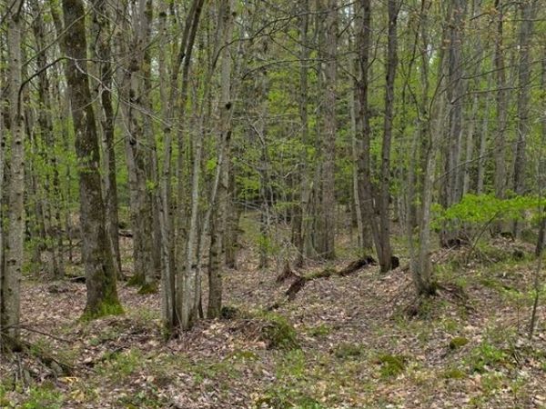 Steelhead Lane , Williamstown, NY 13493