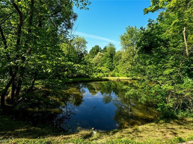 1720 Hinckley Hills Road, Hinckley, OH 44233 Photo 3