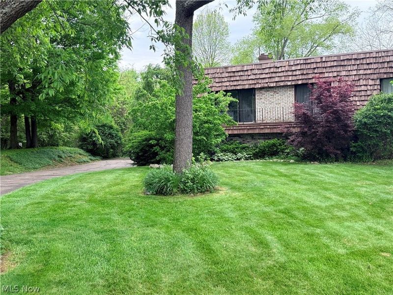 171 Granger Road, Unit 115, Medina, OH 44256 Photo 3
