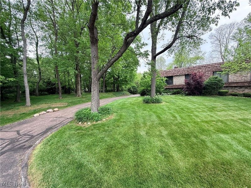 171 Granger Road, Unit 115, Medina, OH 44256 Photo 4