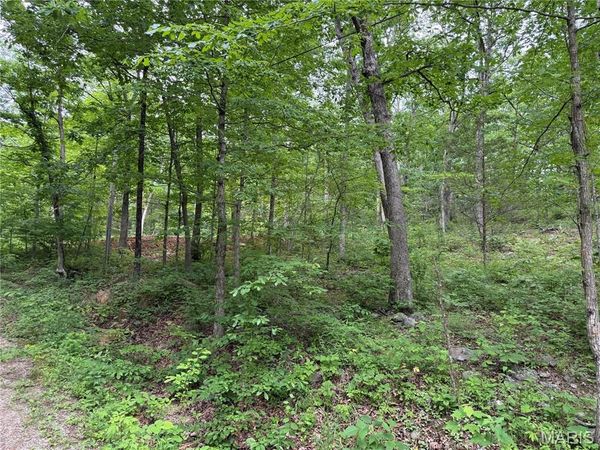 0 Lot 84 Mallard Road , Middlebrook, MO 63656