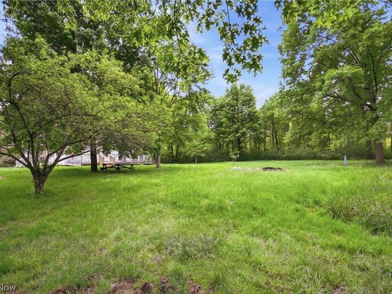2591 Wayland Road, Deerfield, OH 44411 Photo 43