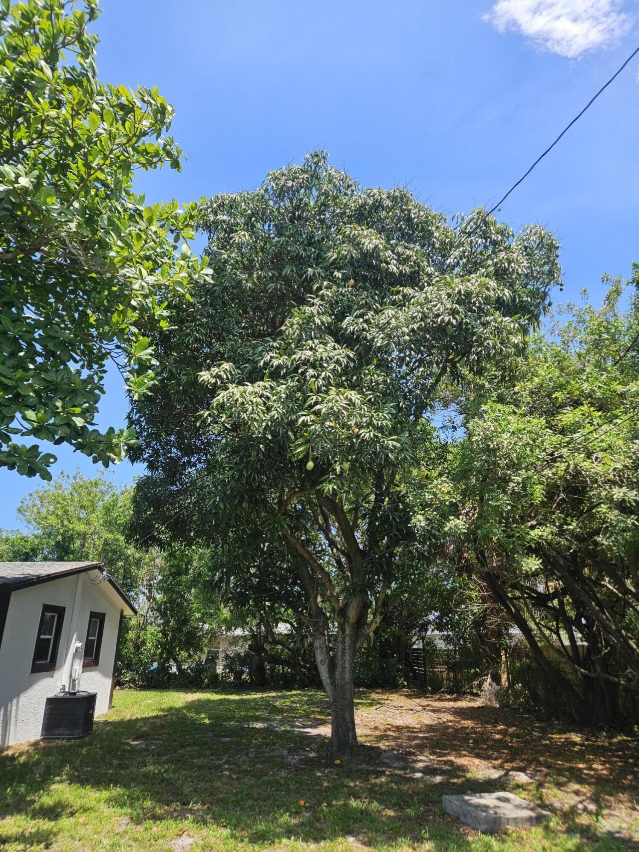 1605 W 10th Street, Riviera Beach, FL 33404 Photo