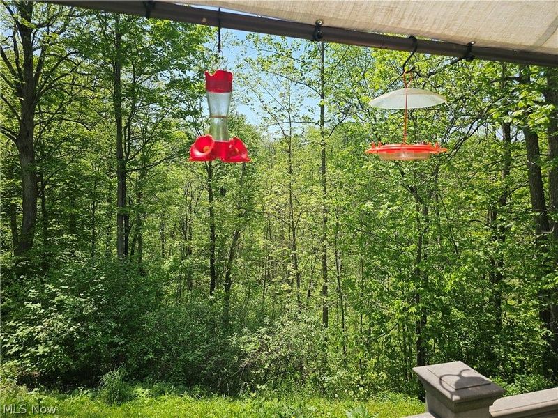 14816 Rock Creek Road, Chardon, OH 44024 Photo 34