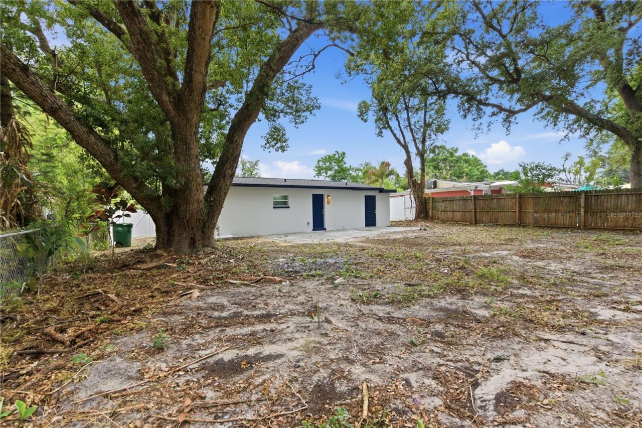 10003 N 24th Street, Tampa, FL 33612 Photo
