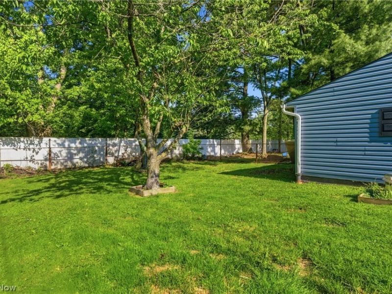 738 Anthony Street, Richmond Heights, OH 44143 Photo 41