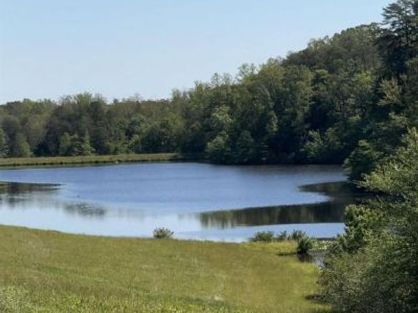 317 LAKE VIEW LN , PALMYRA, VA 22963