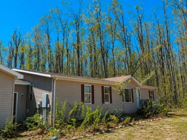 7857 Van Tyle Road, Hayes Twp, MI 49735