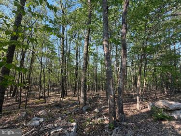 136 SPRING MOUNTAIN DR, ZION GROVE, PA 17985