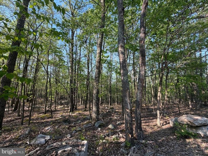 136 Spring Mountain Dr , Zion Grove, PA 17985 Main Photo