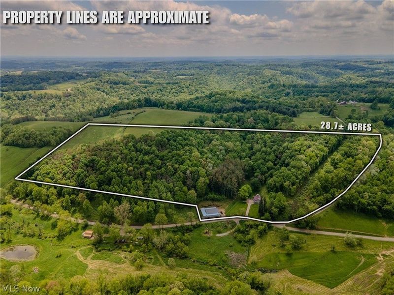 2250 Indian Camp Run Road, New Concord, OH 43762 Photo 2