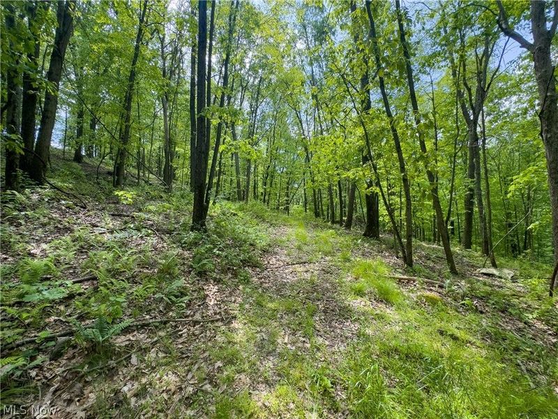 2250 Indian Camp Run Road, New Concord, OH 43762 Photo 44