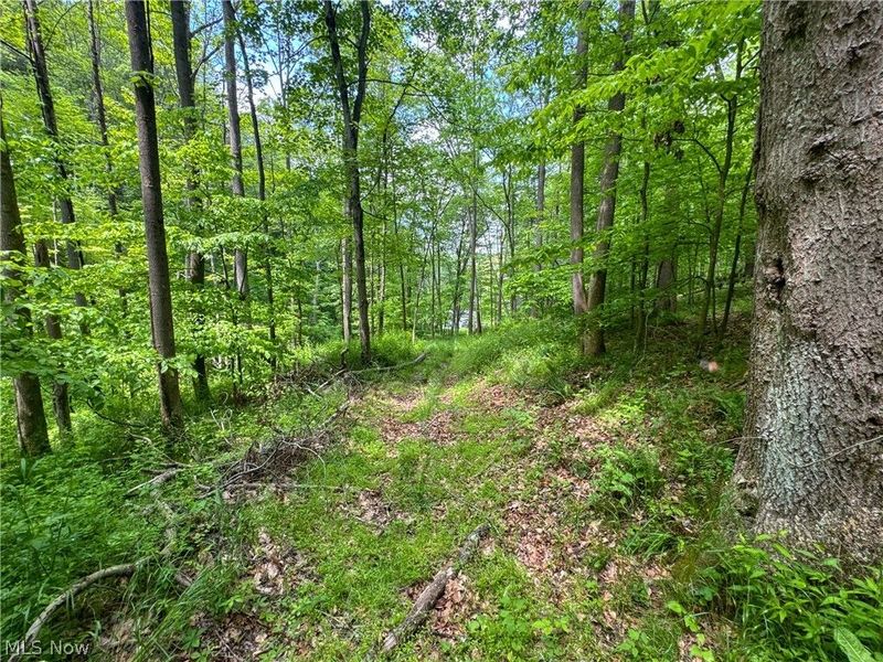 2250 Indian Camp Run Road, New Concord, OH 43762 Photo 46