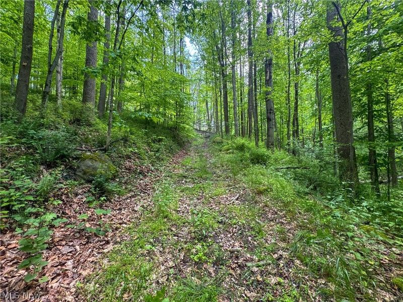 2250 Indian Camp Run Road, New Concord, OH 43762 Photo 47