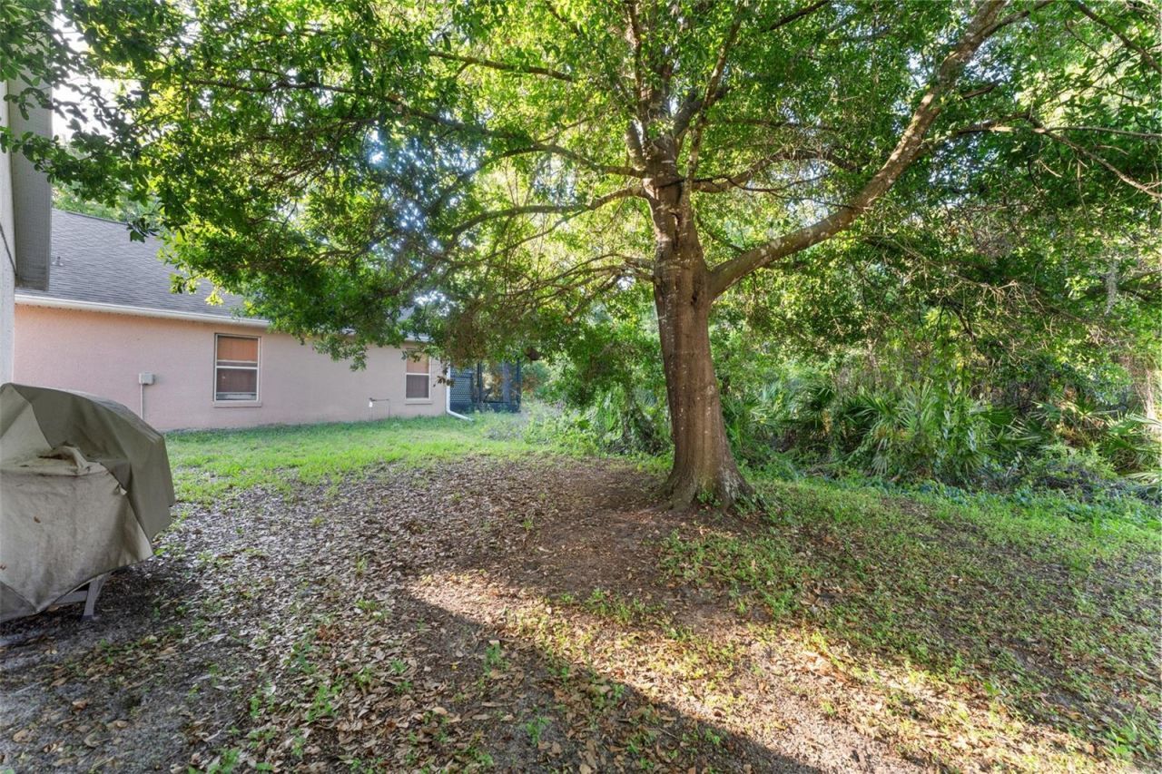 2127 Ruche Court , Orlando, FL 32817 Photo
