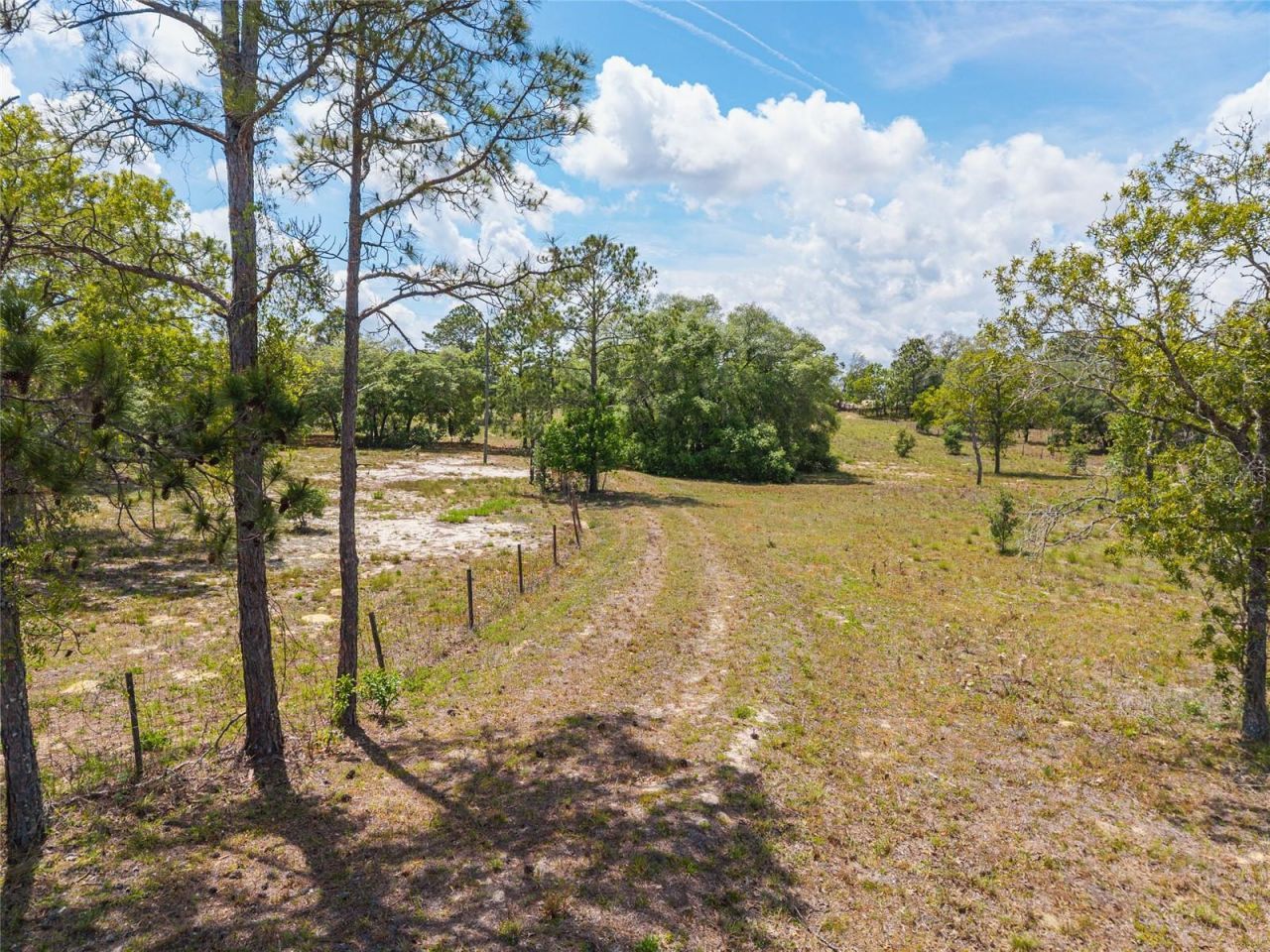 9950 SE 136th Terrace , Dunnellon, FL 34431 Photo