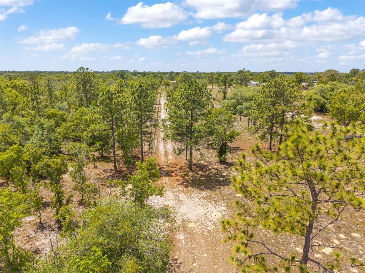 9950 SE 136th Terrace , Dunnellon, FL 34431 Photo