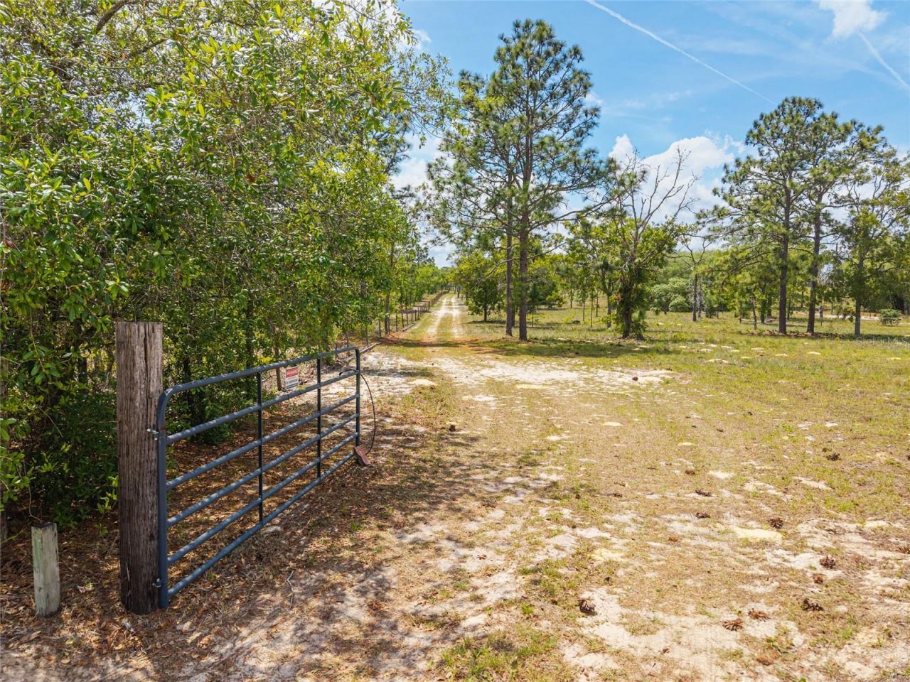 9950 SE 136th Terrace , Dunnellon, FL 34431 Photo