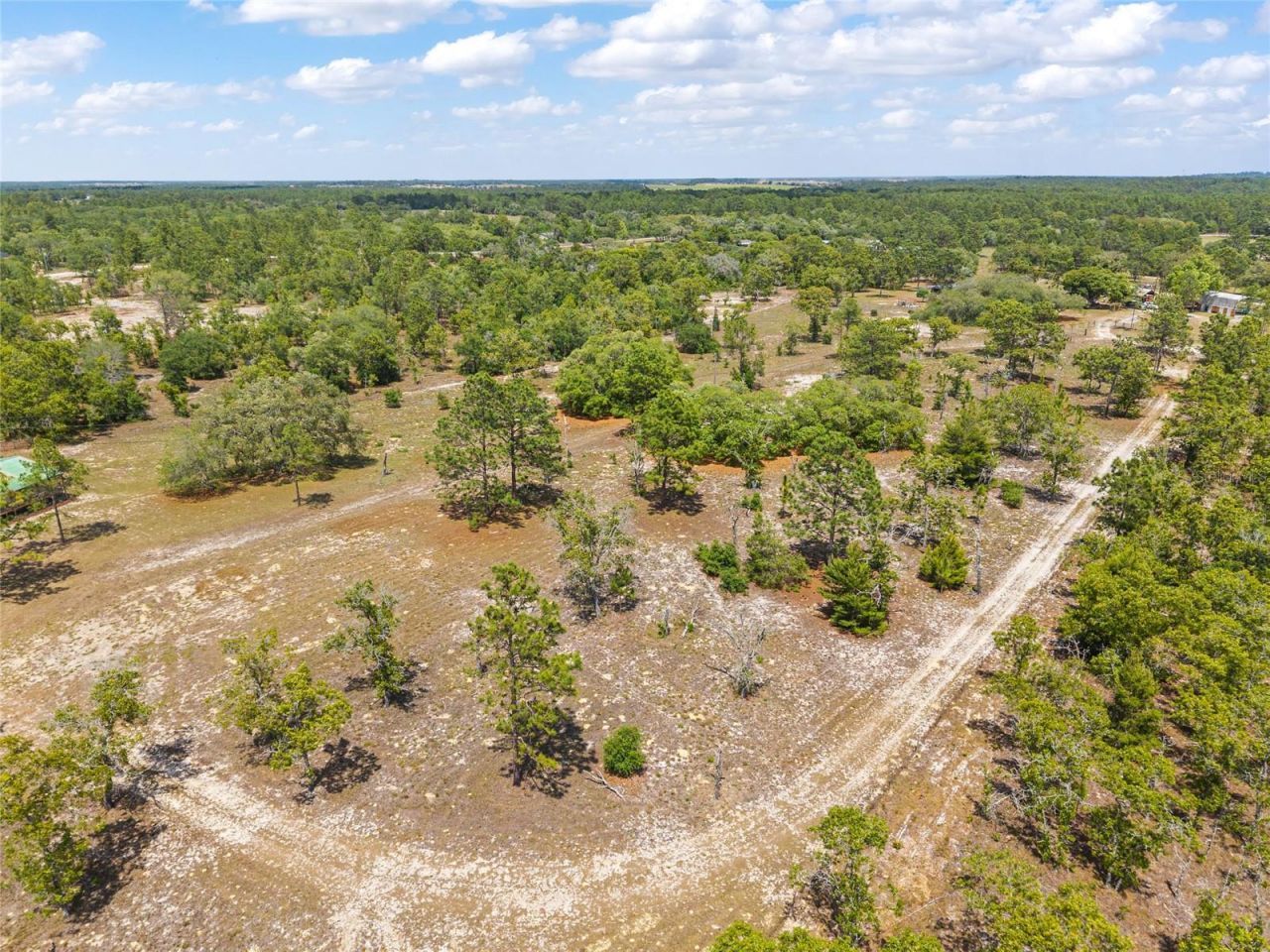 9950 SE 136th Terrace , Dunnellon, FL 34431 Photo
