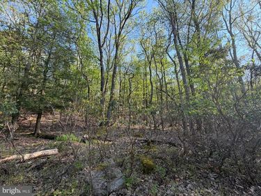 462 SPRING MOUNTAIN DR, ZION GROVE, PA 17985