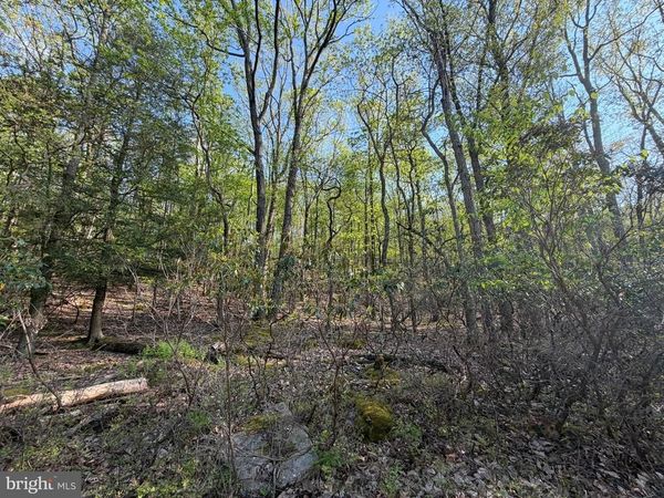 462 SPRING MOUNTAIN DR , ZION GROVE, PA 17985